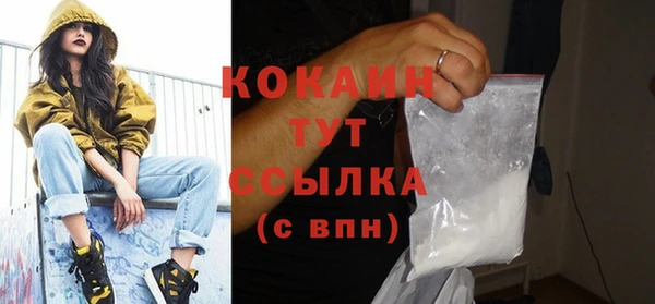 мдпв Ладушкин
