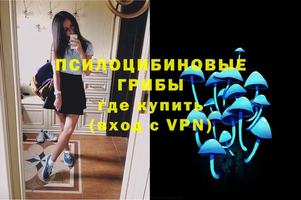 мдпв Ладушкин
