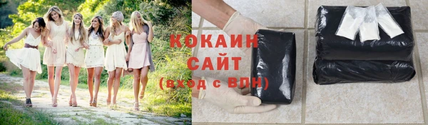 гашик Магас