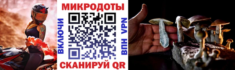 Галлюциногенные грибы мухоморы Купить Асино